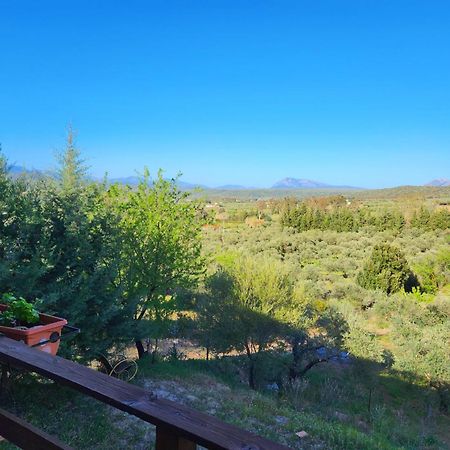 Panoramic House Villa Oliena Kültér fotó