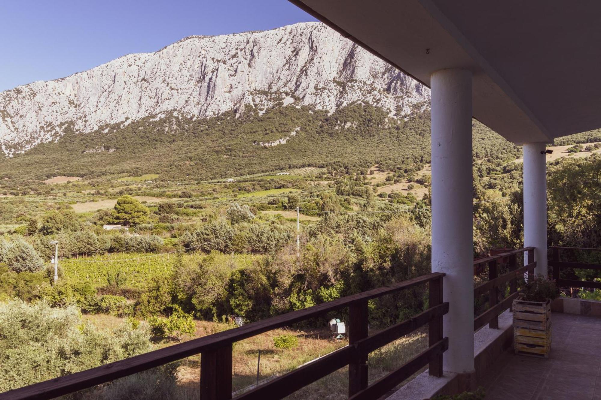 Panoramic House Villa Oliena Kültér fotó