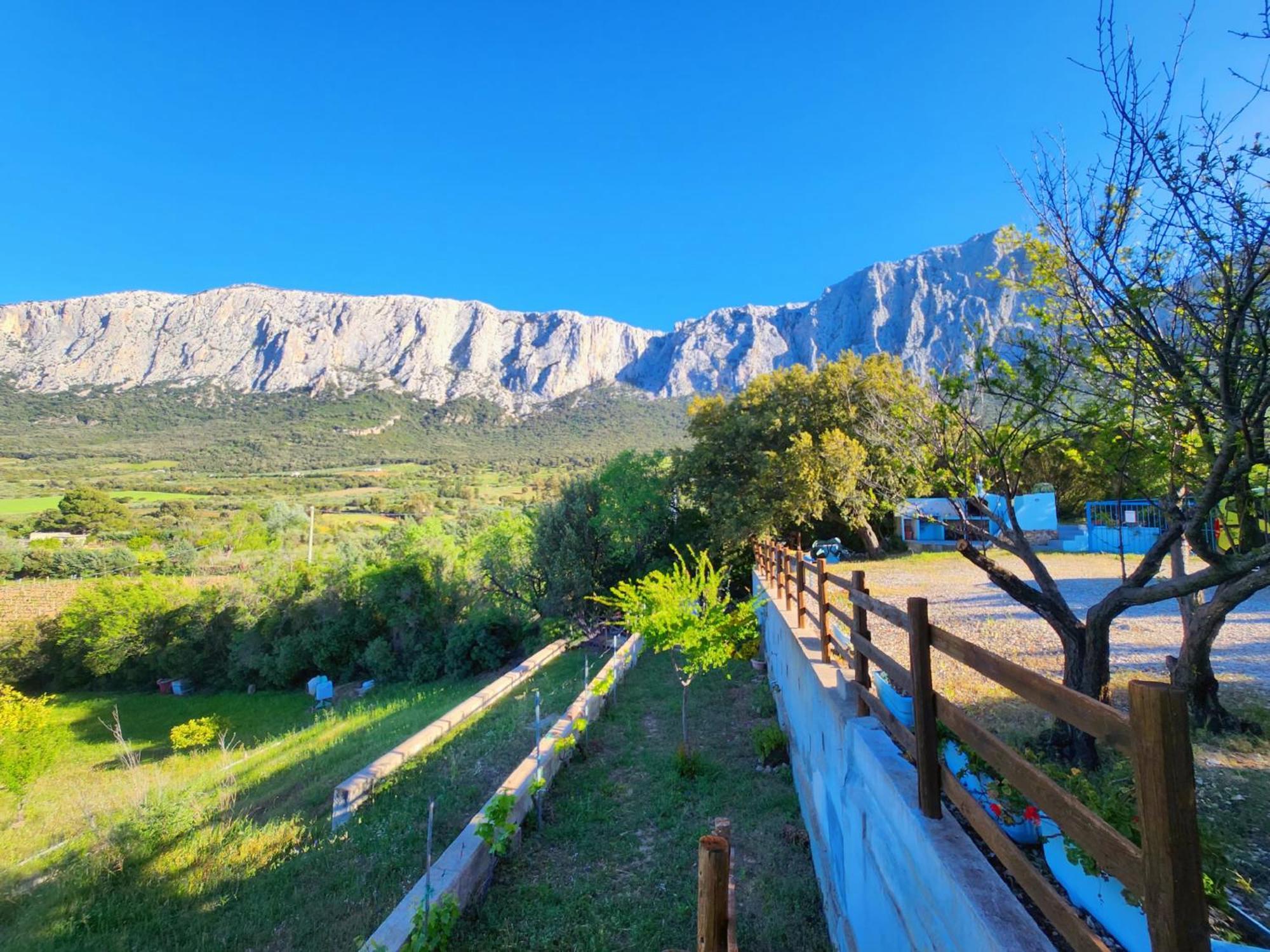 Panoramic House Villa Oliena Kültér fotó