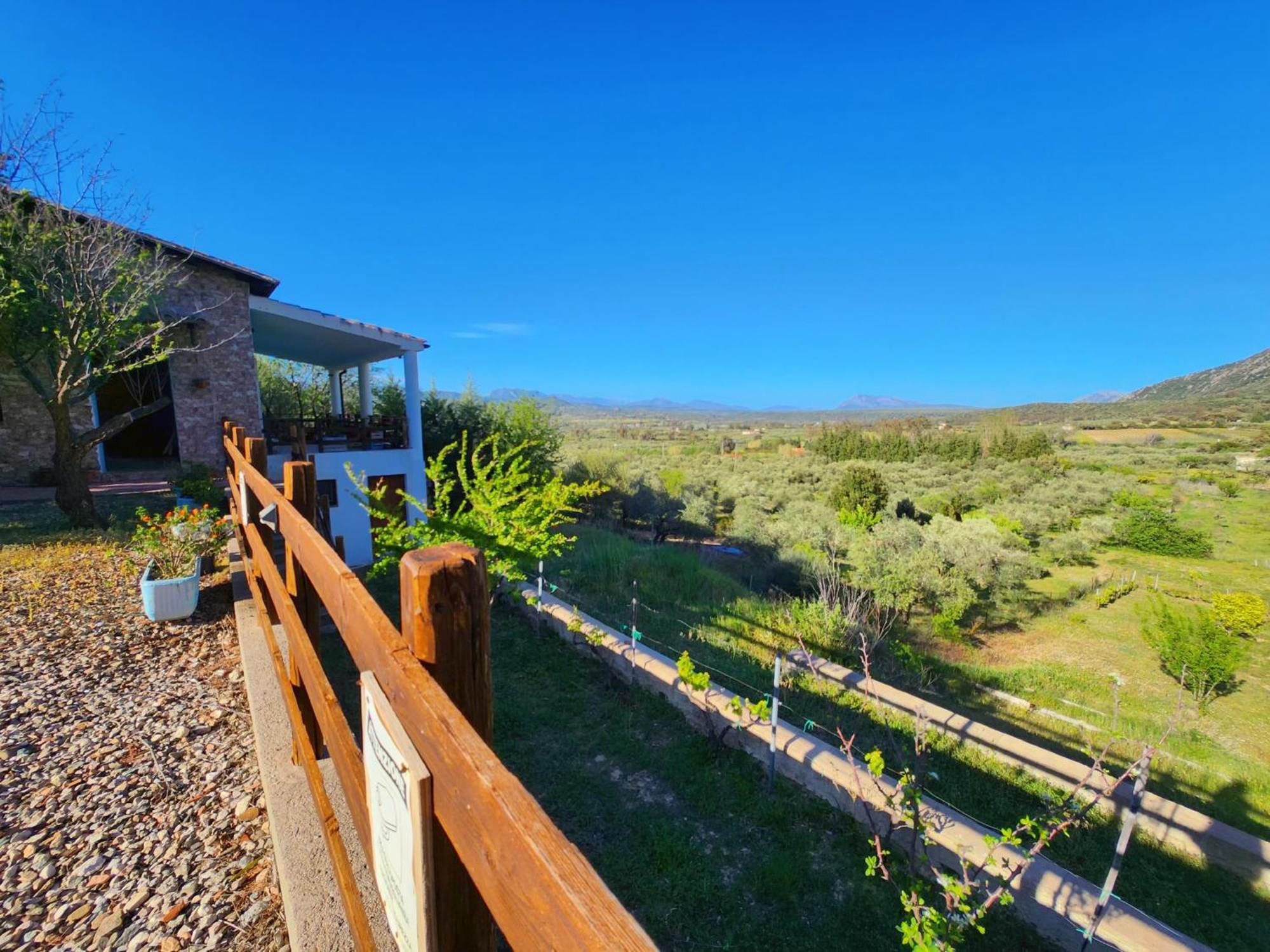 Panoramic House Villa Oliena Kültér fotó