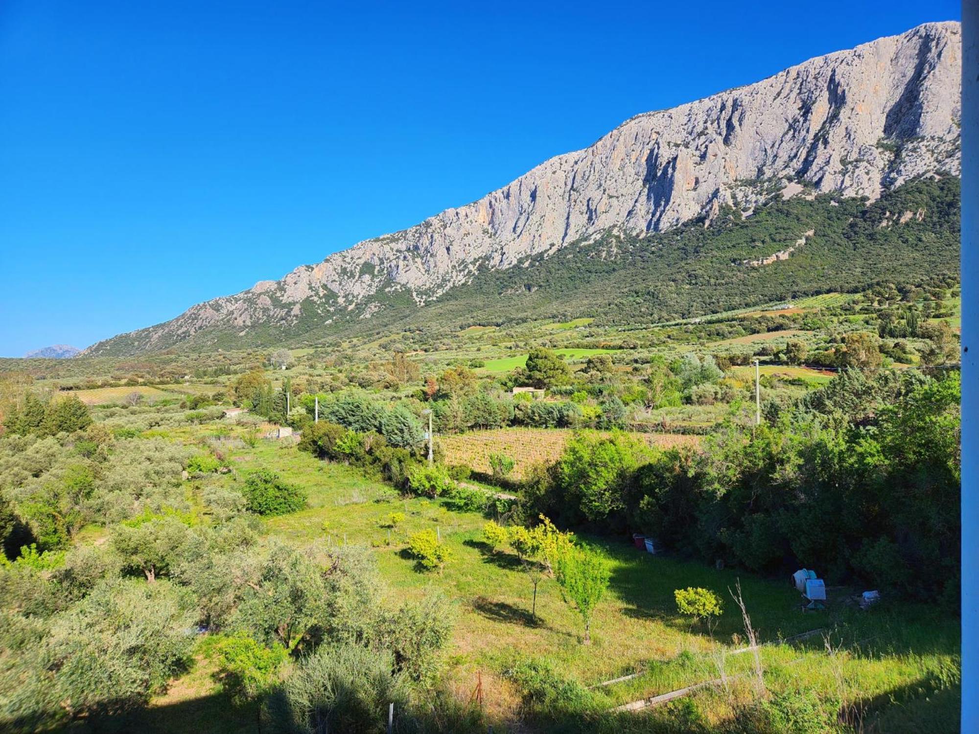Panoramic House Villa Oliena Kültér fotó